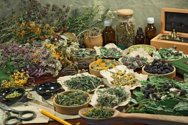 Display of dried medicinal herbs. Herbs: A Spiritual Approach